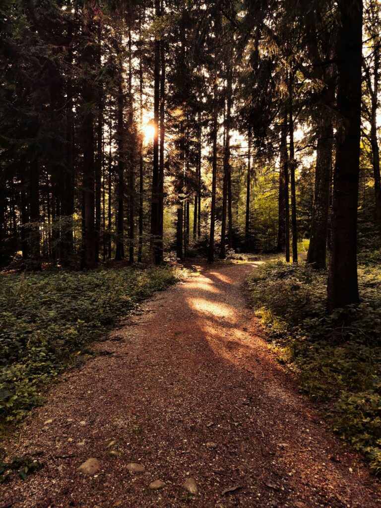 When Drive Becomes Survival